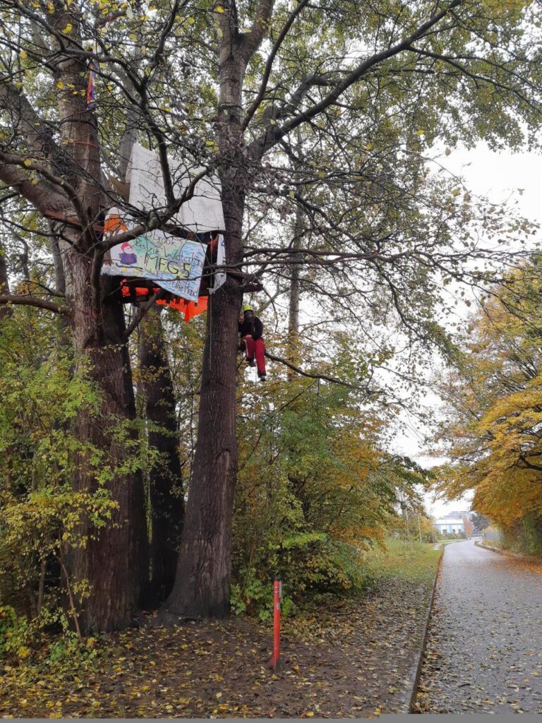 Zwischen Bäumen hängt eine Plattform mit Transparenten, ein Mensch hängt im Kletterseil.