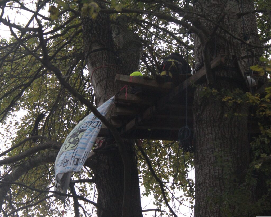 EIne Plattform ist in einem Baum, darauf Menschen, runter hängt ein Transaprent